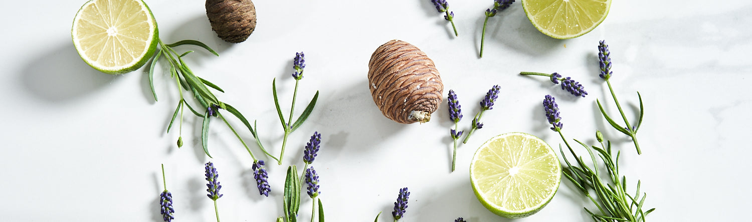 Relax is our aromatherapy blend of Lavender, Bergamot and Cedar essential oils. Blended to help improve mood, reduce stress and anxiety. Great for the bedroom to help improve sleep. Available in reed diffusers, room sprays and candles.