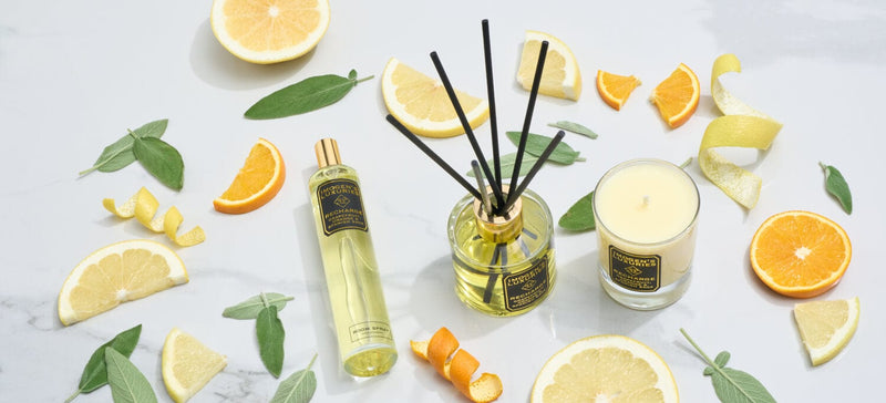 Recharge 200ml Reed Diffuser: Grapefruit, Orange & Spanish Sage