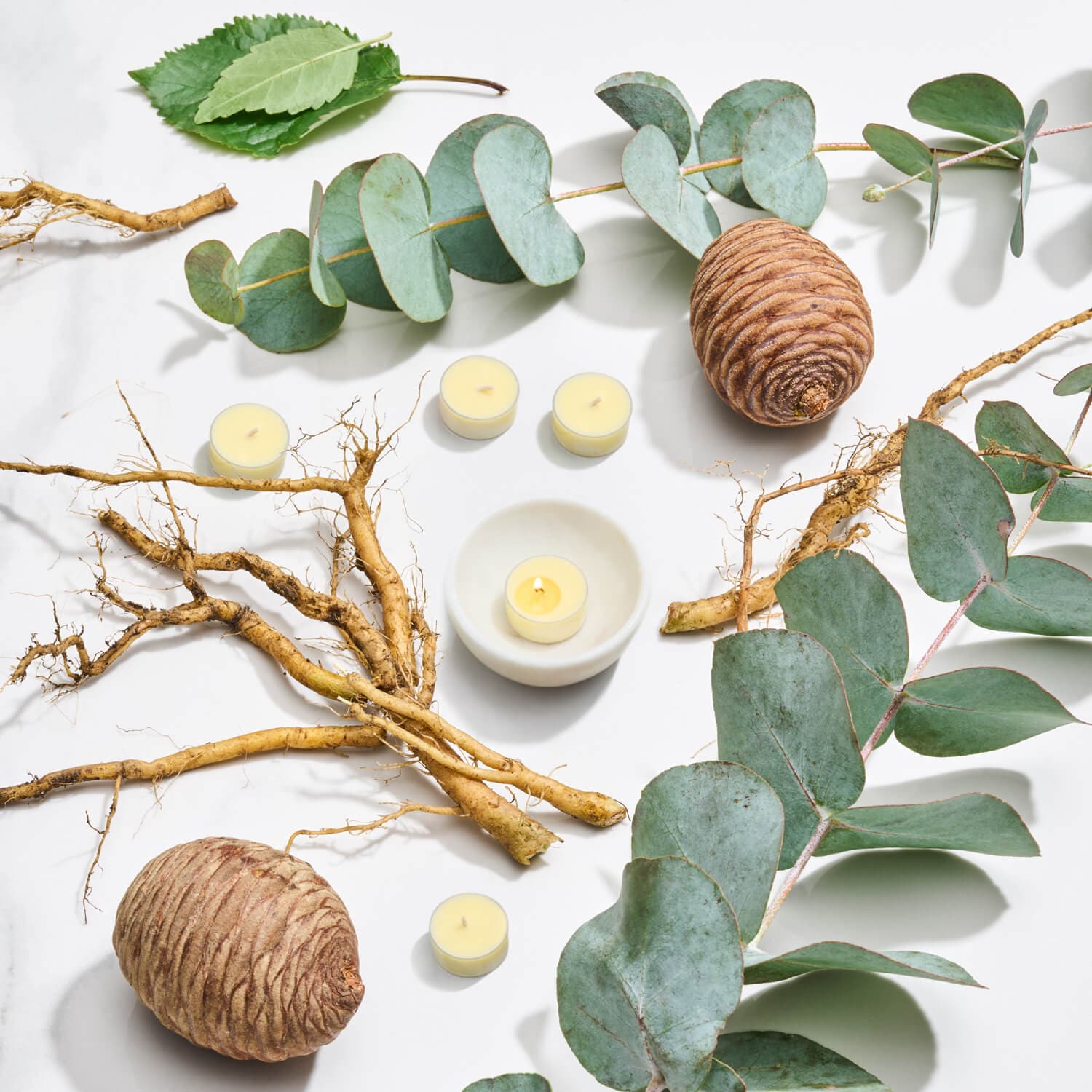 Unwind tea lights on a light background surrounded by the ingredients in this Unwind essential oil blend. Ingedients shown are Patchouli root, Cedarwood cones and Eucalyptus leaves