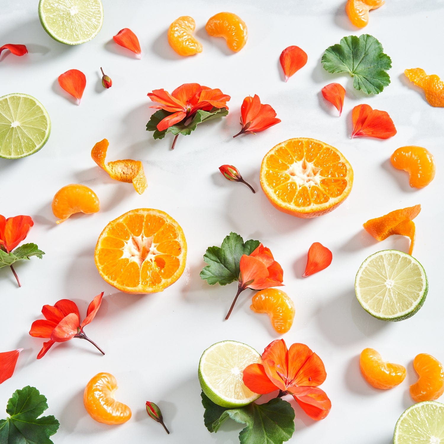 Image is of the ingredients that make up our award-winning Balance essential oil blend. Image is of Geranium leaves and petals with sliced Bergamot and juicy Tangerine segments